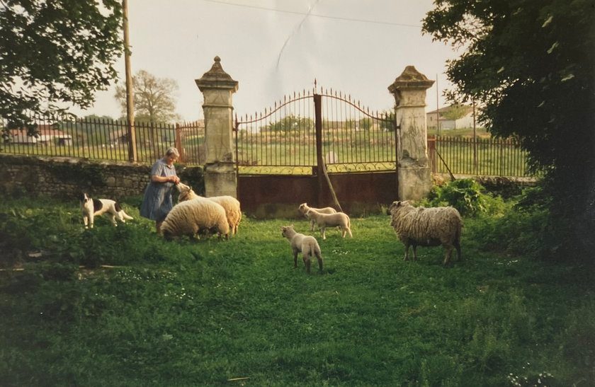 Une femme avec des moutons devant un portail en fer forgé